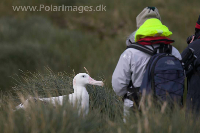 Prion Wanderers_MG_0677