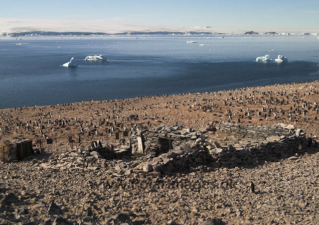 Larsen's hut, Paulet Island 0032