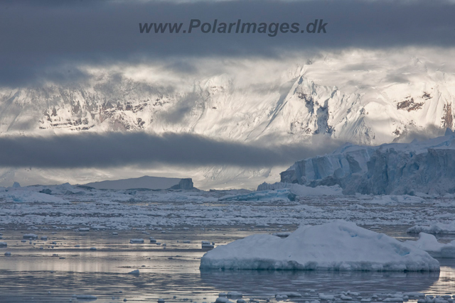 Andvord Bay_MG_6153