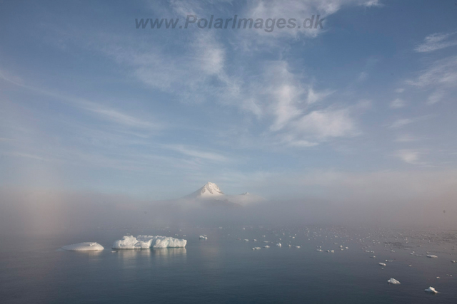 Antarctic Sound_MG_0435