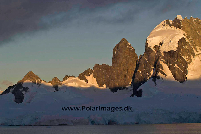 Cuverville evening light PICT8553