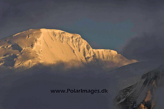 Cuverville evening light PICT8582