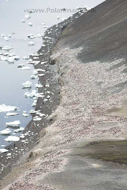 Devil Island_MG_0993