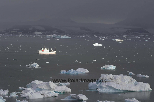 Devil Island Maryshev PICT8233