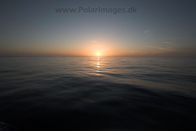 Drake Passage_MG_8799