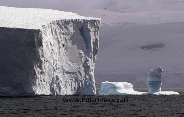 Gerlache Strait PICT0262