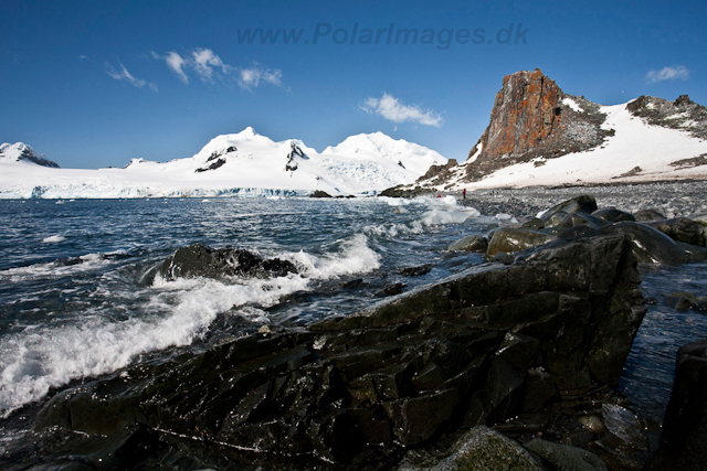 Half Moon Island_MG_5233