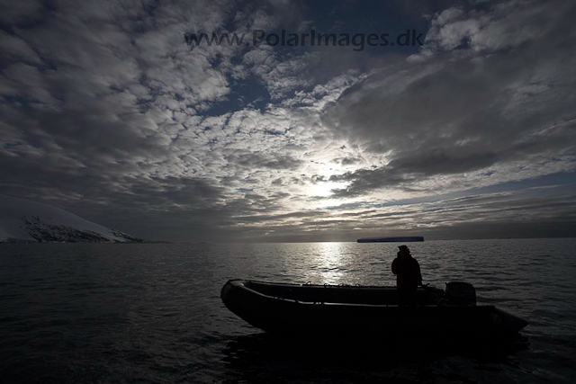 Hovgaard Island_MG_8902