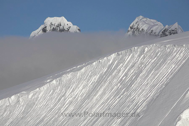 Hovgaard Island_MG_8935