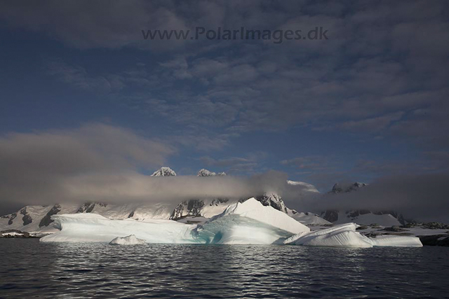 Hovgaard Island_MG_8945