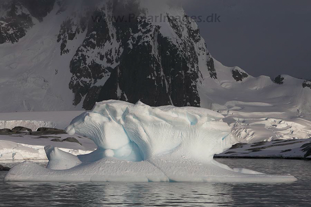 Hovgaard Island_MG_8970