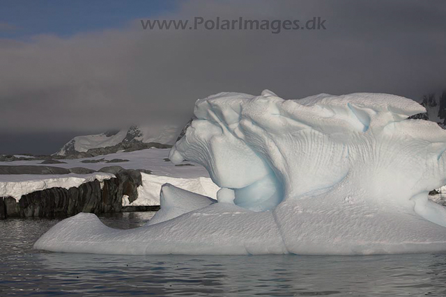 Hovgaard Island_MG_8973