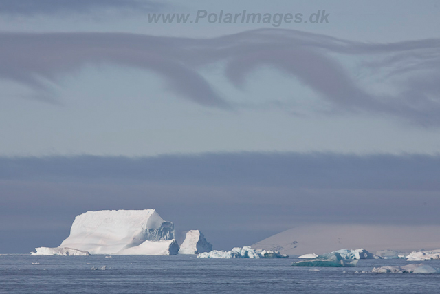 Ice in Antarctic Sound_MG_0992