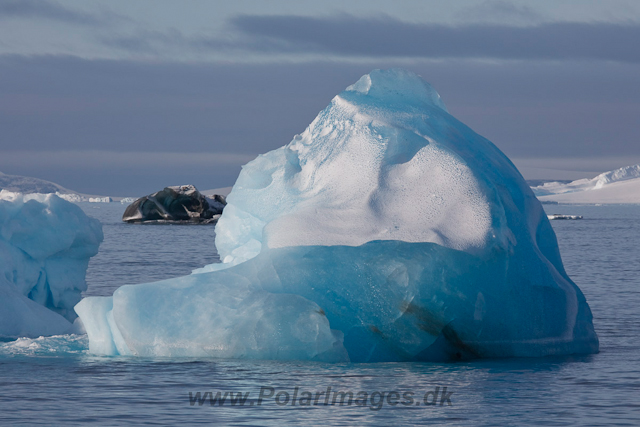 Ice in Antarctic Sound_MG_1005