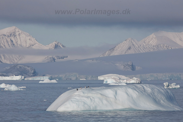 Ice in Antarctic Sound_MG_1010