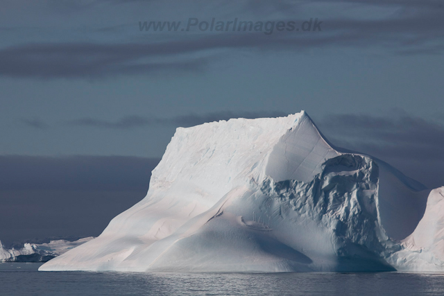 Ice in Antarctic Sound_MG_1030