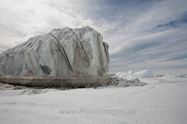 Iceberg in the fast ice_MG_5065