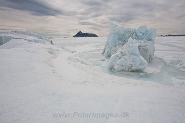 Iceberg in the fast ice_MG_5088