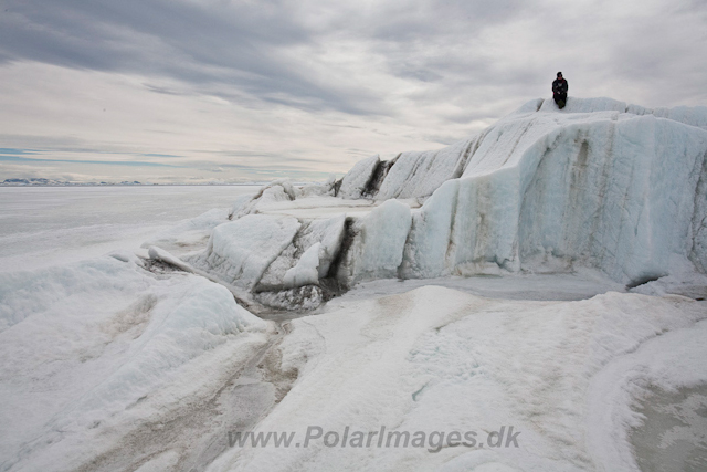 Iceberg in the fast ice_MG_5095