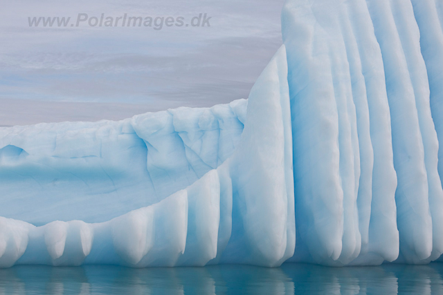 Icebergs at Pleneau Island_MG_0055