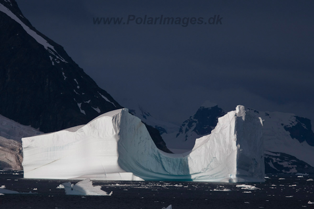 Icebergs in the Gerlache Strait_MG_9625