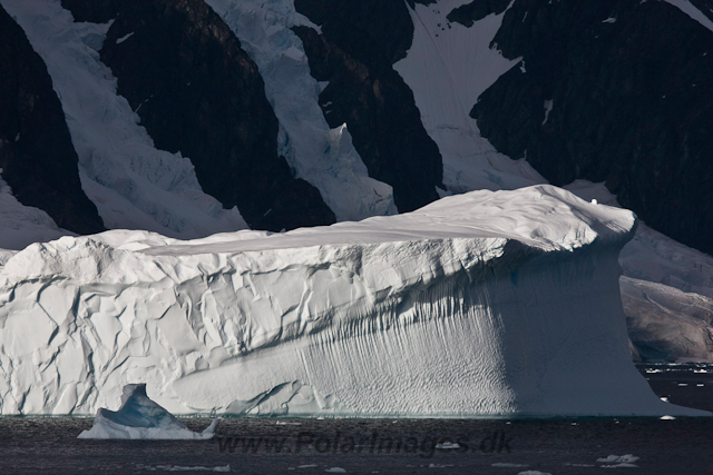 Icebergs in the Gerlache Strait_MG_9626