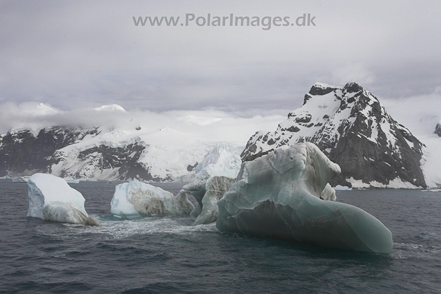 Jade Iceberg, Elephant Island_MG_0195