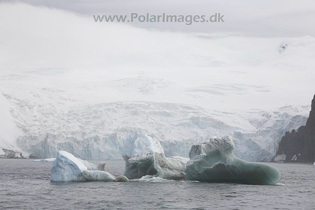 Jade Iceberg,Elephant Island_MG_0211