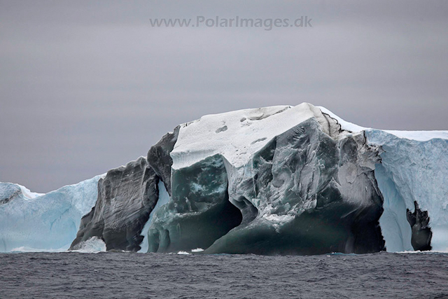 Jade Iceberg_MG_2877