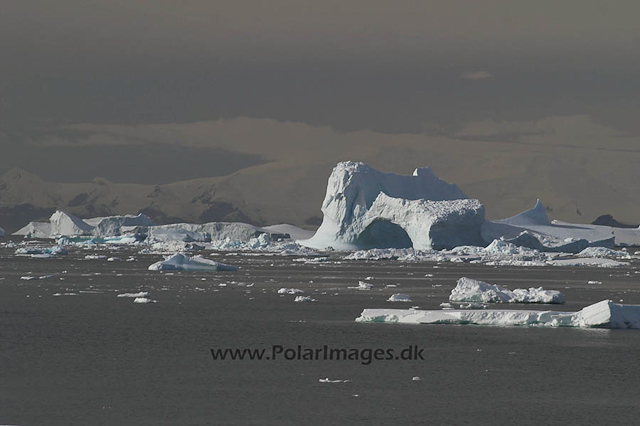 Martha Strait Antarctic circle 0818