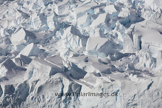 Neko glacier_MG_9837