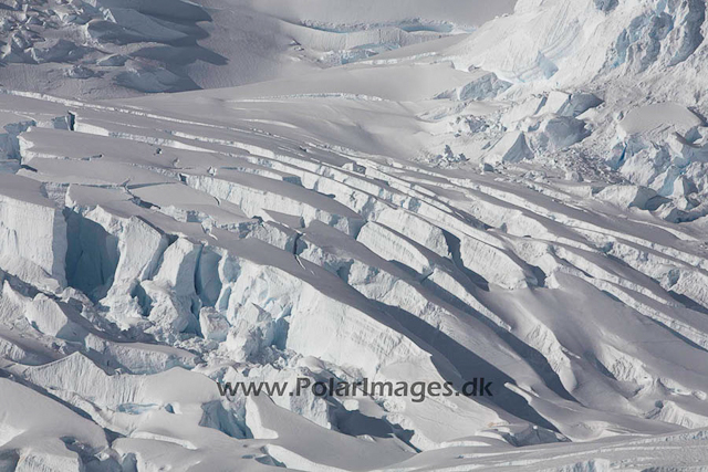 Neko glacier_MG_9839