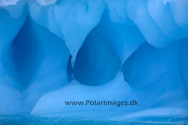 Paulet blue ice_MG_2410