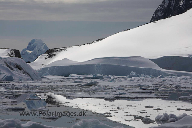 Pleneau - Booth_MG_3766