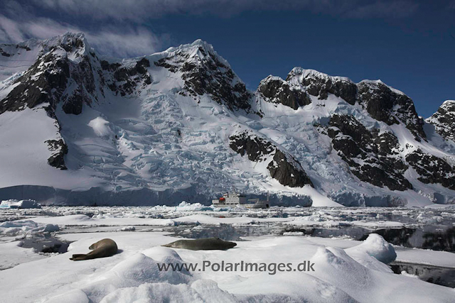 Pleneau - Booth_MG_3773