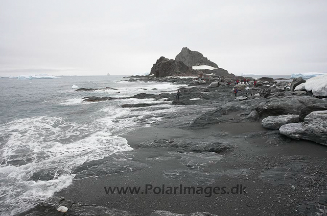 Point Wild, Elephant Island_MG_0056