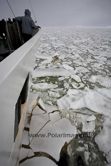 Ship in pack ice_MG_6142