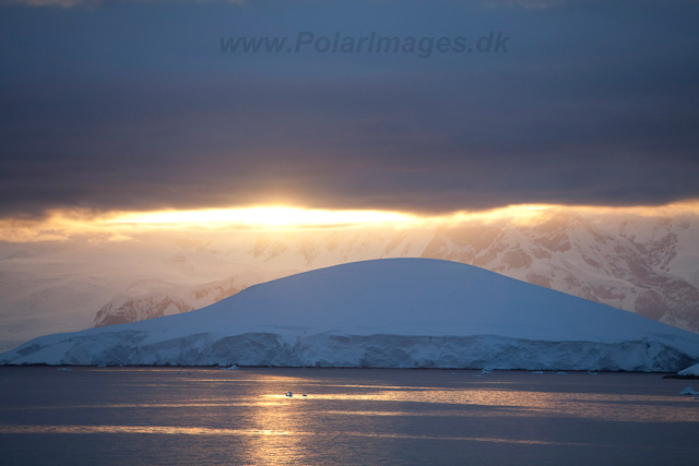 Southern Gerlache Strait sunset_MG_9867