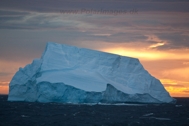 Sunset, eastern Bransfield Strait_MG_8677