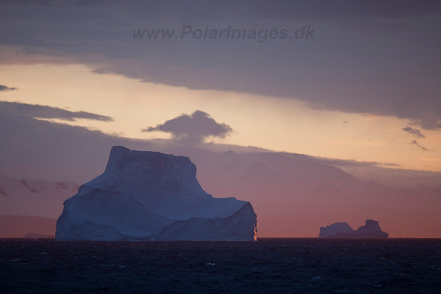 Sunset, eastern Bransfield Strait_MG_8687