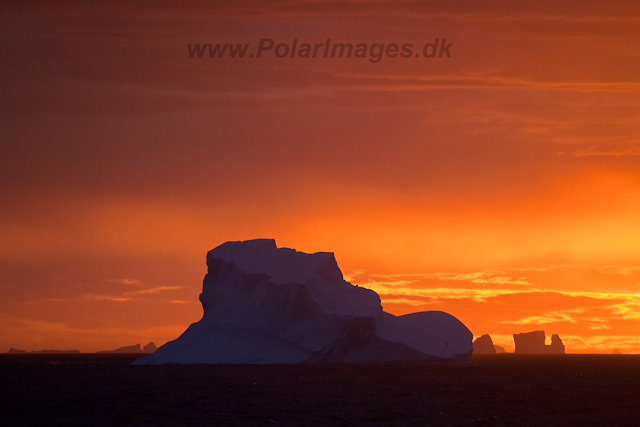 Sunset, eastern Bransfield Strait_MG_8713