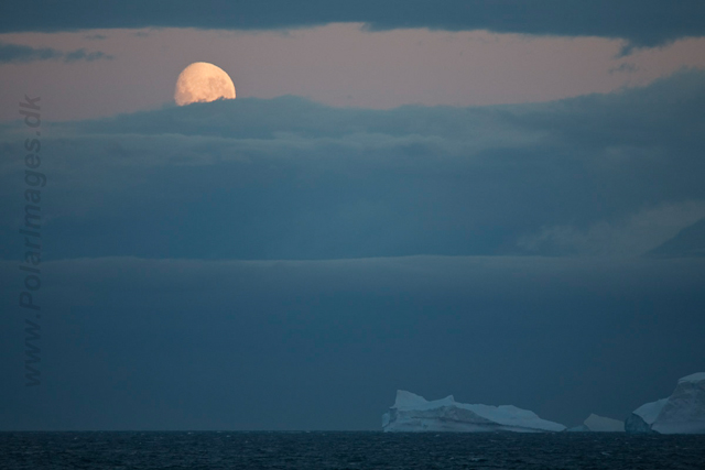 Sunset, eastern Bransfield Strait_MG_8747