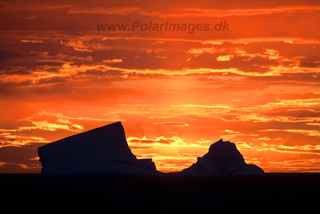 Sunset, eastern Bransfield Strait_MG_8757