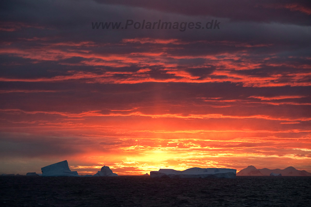 Sunset, eastern Bransfield Strait_MG_8765