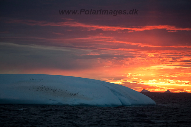 Sunset, eastern Bransfield Strait_MG_8791