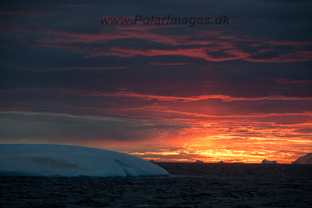 Sunset, eastern Bransfield Strait_MG_8792