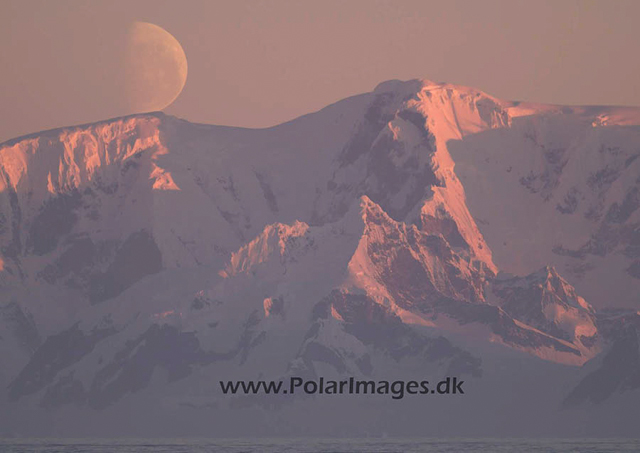 Sunset with moon PICT1091