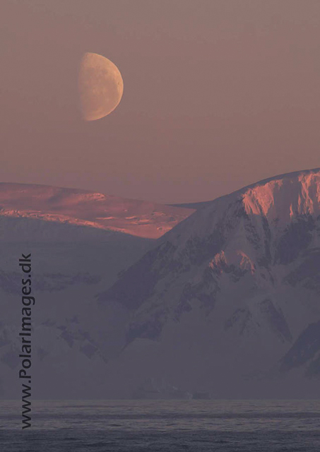 Sunset with moon PICT1110