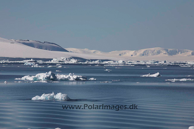 Weddell Sea_MG_9416