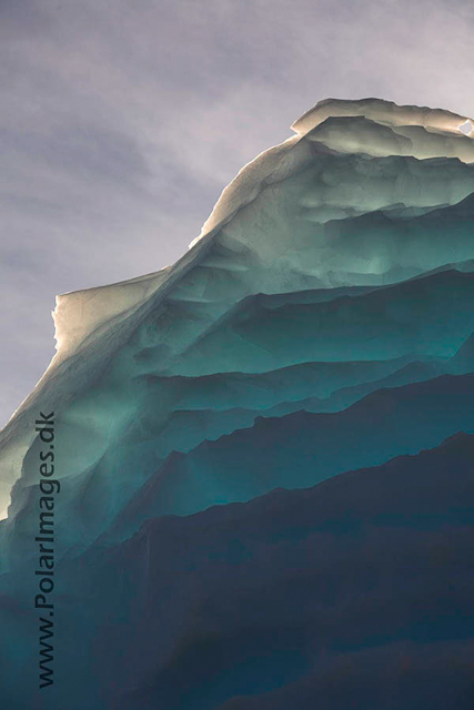 Wilhelmina Bay ice_MG_6442